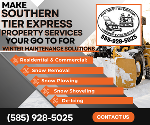 Snow Removal 
