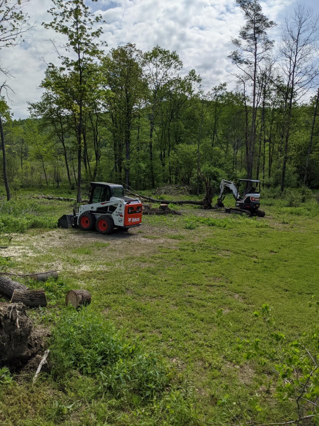 site restoration