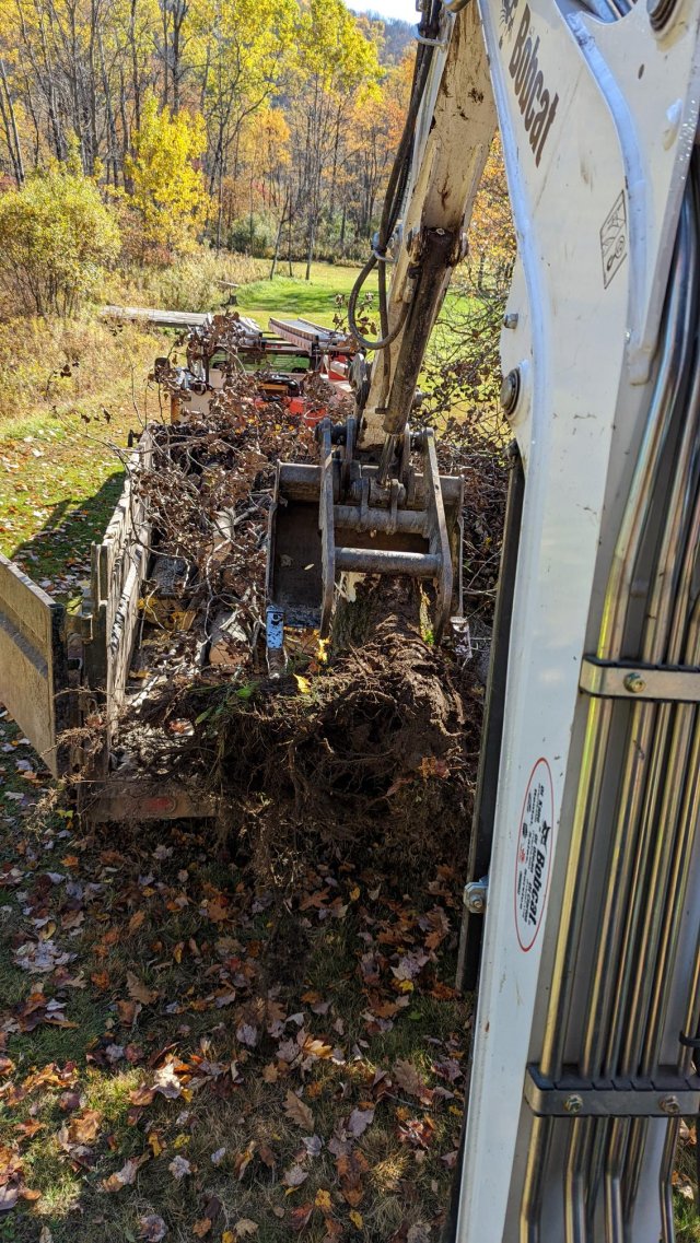 stump removal